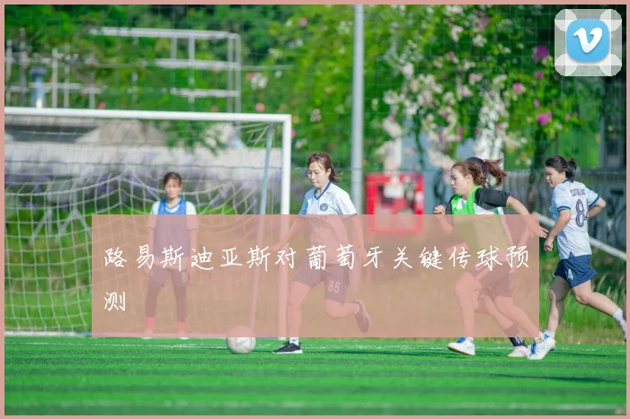 路易斯迪亚斯对葡萄牙关键传球预测