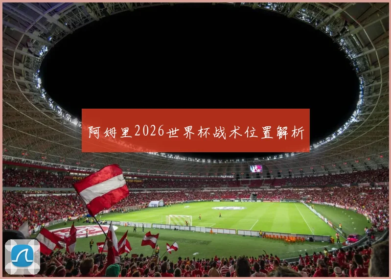阿姆里2026世界杯战术位置解析