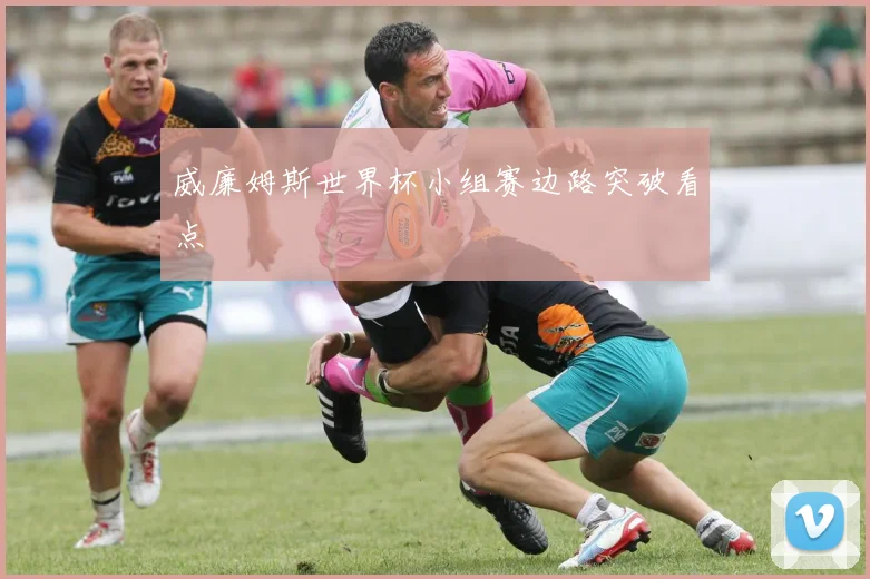 威廉姆斯世界杯小组赛边路突破看点