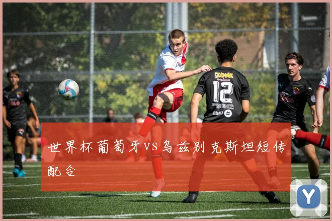 世界杯葡萄牙vs乌兹别克斯坦短传配合