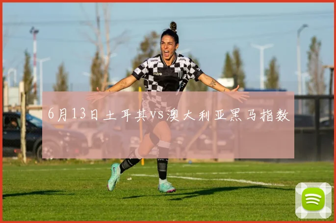 6月13日土耳其vs澳大利亚黑马指数