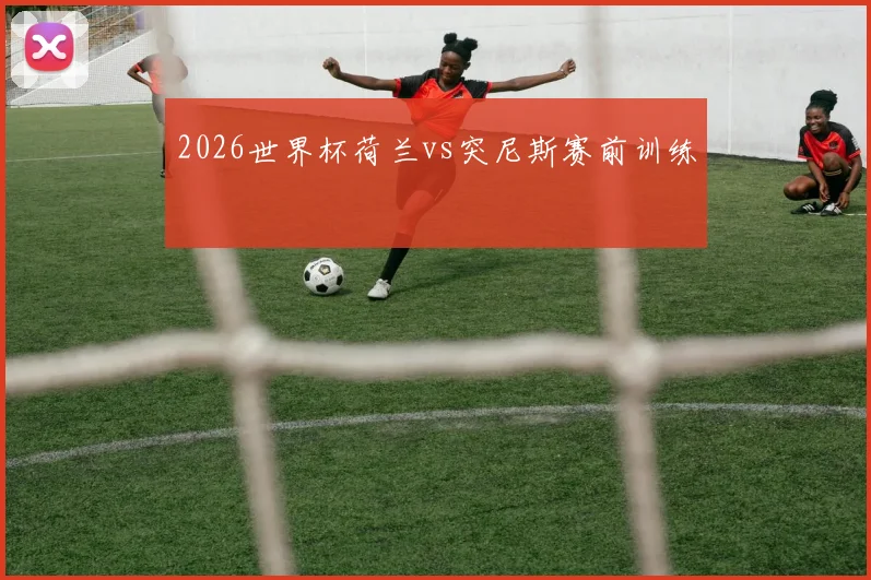 2026世界杯荷兰vs突尼斯赛前训练