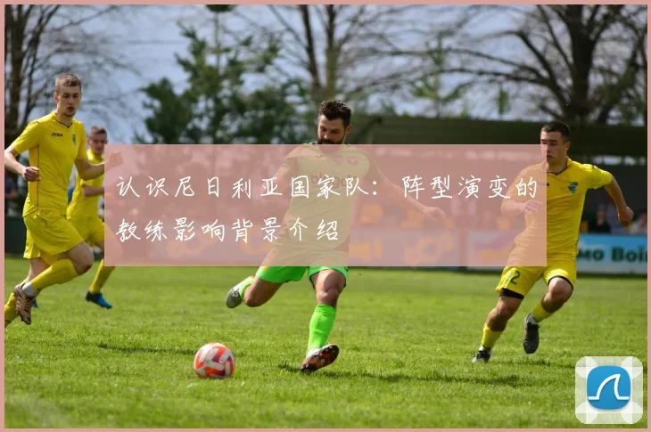 认识尼日利亚国家队：阵型演变的教练影响背景介绍
