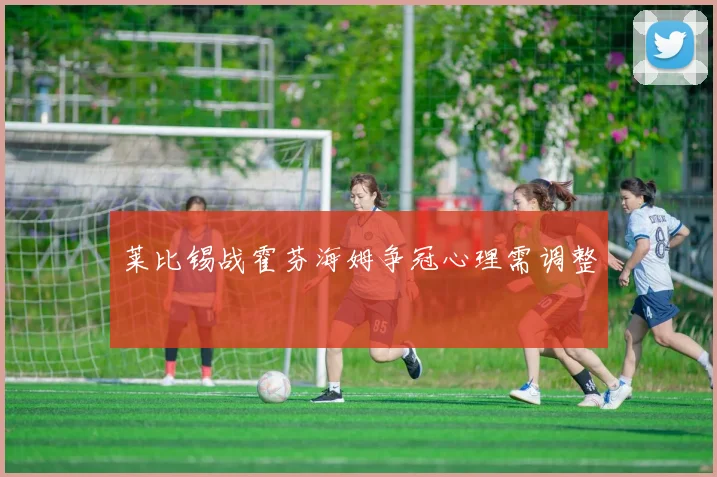 莱比锡战霍芬海姆争冠心理需调整
