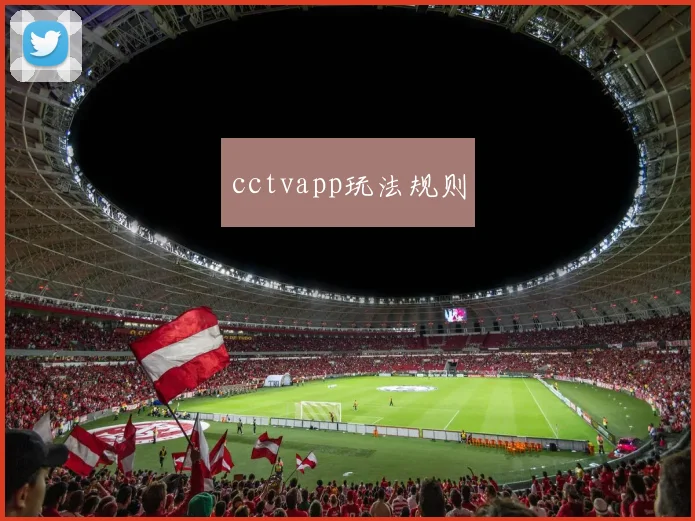 cctvapp玩法规则