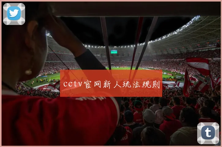 cctv官网新人玩法规则